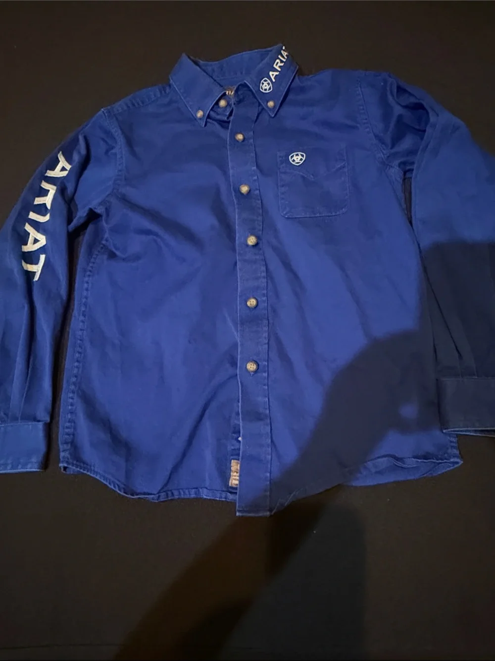 Ariat Men's Button-Down Shirt — Blue with White Logo